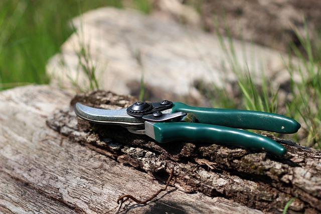 Unlocking the ⁣Secrets‌ of Pruning: Plant Care Essentials