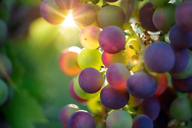 Sweet Harvest: Delectable Desserts with Garden Ingredients