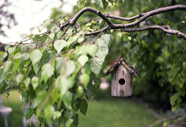 Transform Your Backyard into a Blissful Retreat: Outdoor Living Ideas